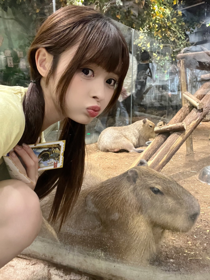 疾速追杀3 封面